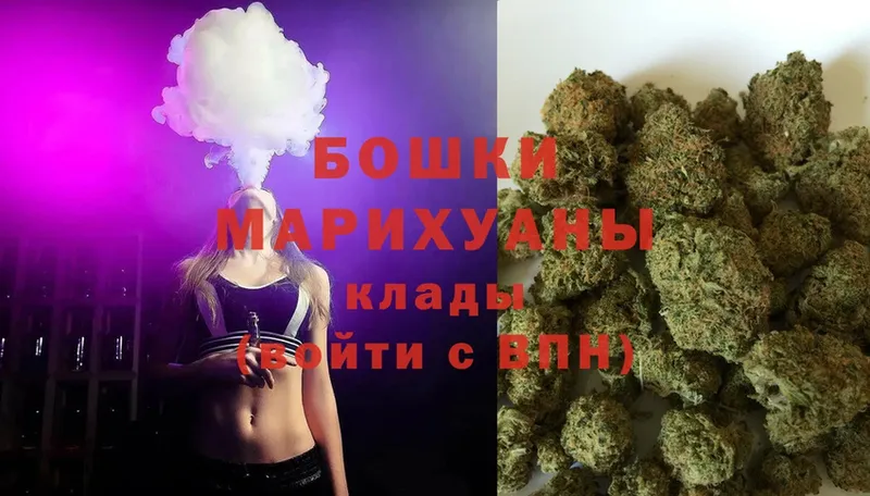 darknet телеграм  Жердевка  Шишки марихуана семена 